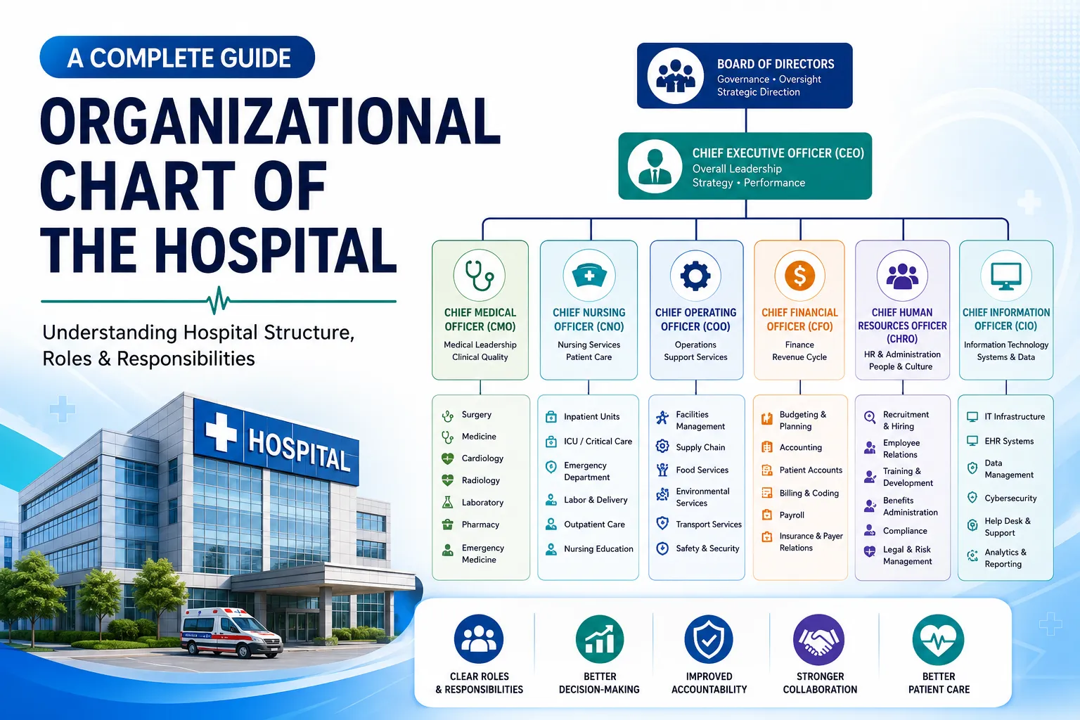 Organizational Chart Of The Hospital: A Complete Guide To Hospital Structure